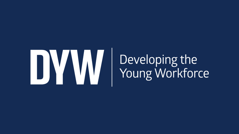 Developing the Young Workforce